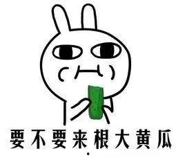 天天吃瓜吃到怕