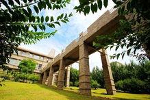 大连东软吃瓜,揭秘校园“吃瓜”文化背后的故事