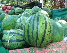 吃瓜和吃瓜有什么区别,揭秘网络热议背后的真相