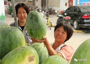 环岛小区吃瓜,吃瓜群众见证的邻里风云