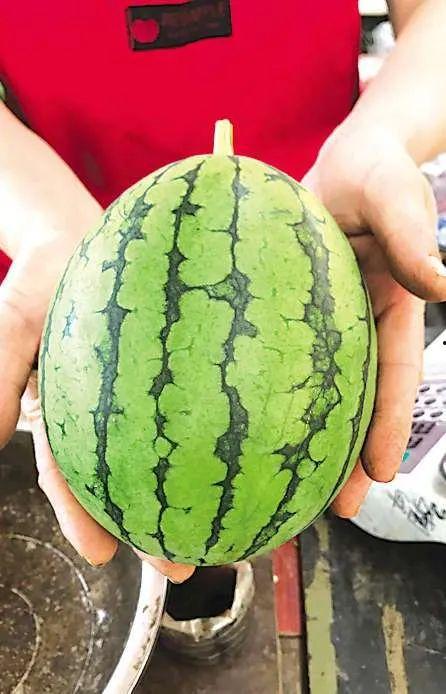 柯桥吃瓜事件,一场引发热议的网络风波揭秘