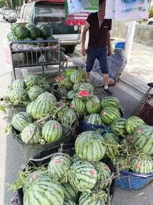 柯桥吃瓜事件,一场引发热议的网络风波揭秘