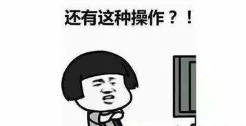 瓜娃子想偷肉吃,一场关于美食与童趣的趣味故事