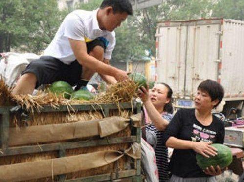 开封吃瓜事件真相,揭秘背后真相与反思