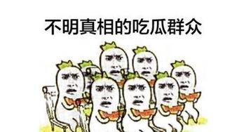 吃瓜群众看新闻,热点事件背后的真相与反思