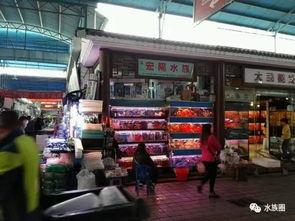 花鸟吃瓜,自然界的和谐画卷