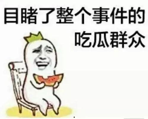 掉线的吃瓜群众,掉线背后的故事